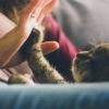 Thumbnail of related posts 033