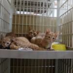 Thumbnail of post image 005