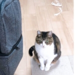 Thumbnail of post image 121