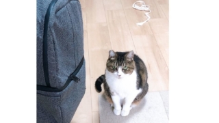Thumbnail of post image 009