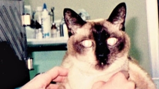 Thumbnail of post image 023
